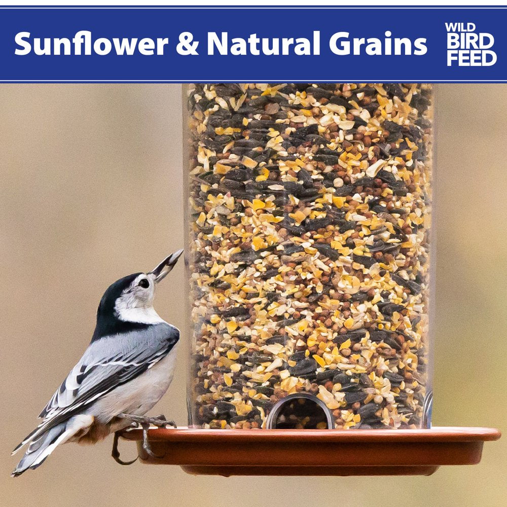 Sunflower & Grains Wild Bird Feed, Dry, 1 Count per Pack, 5 Lb. Bag